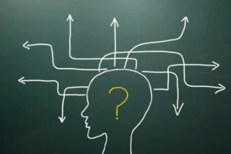 Case Study 6, Decision maker study